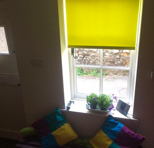 coloured roller blinds