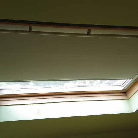 Shades rooms from bright sunlight